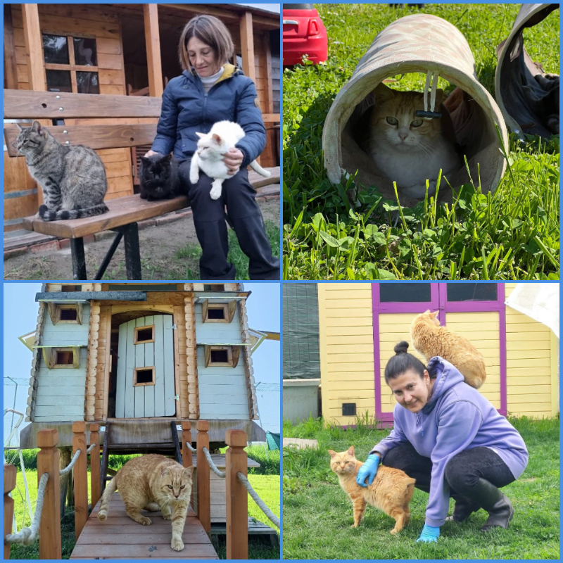 Sei alla ricerca di un modo per fare la differenza? - Associazione Le Sfigatte