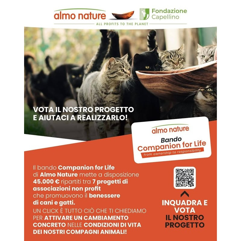 Vota il nostro progetto e aiutaci a realizzarlo! - Associazione Le Sfigatte