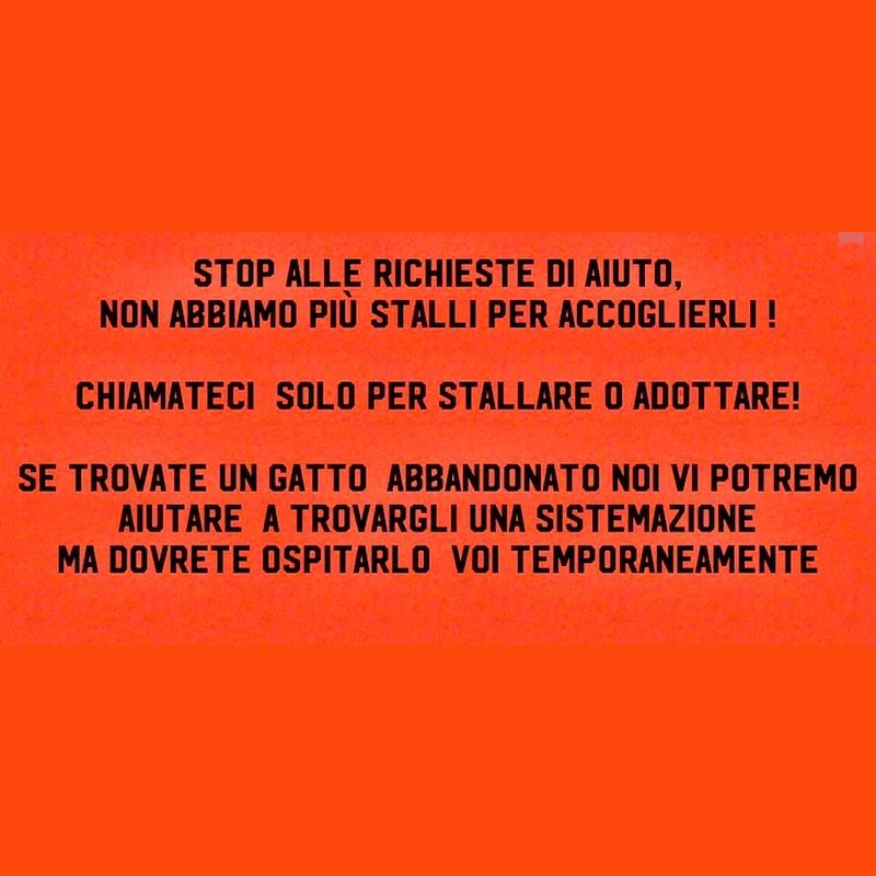 Stop alle richieste di aiuto, non abbiamo più stalli per accoglierli! - Associazione Le Sfigatte