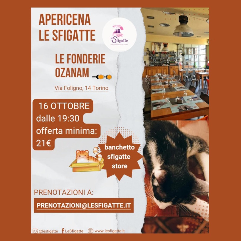 Cena autunnale Sfigatte: giovedì 16 ottobre presso Fonderie Ozanam a Torino - Associazione Le Sfigatte