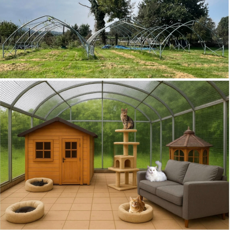 Non servono donazioni, solo un voto! Vota per i MicioLoft e aiuta i nostri gatti! Mancano pochi giorni! - Associazione Le Sfigatte