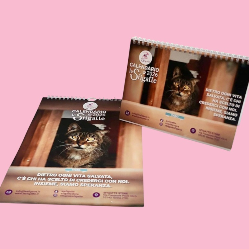 È arrivato il calendario Sfigatte 2026! - Associazione Le Sfigatte