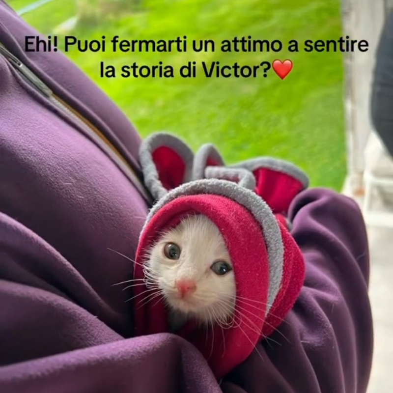 Grazie all'operazione "Buco di Speranza" il piccolo Victor è salvo - Associazione Le Sfigatte