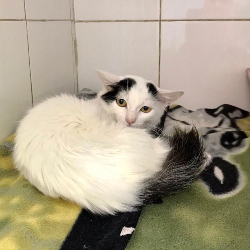 Mina, la piccola guerriera continua a combattere - Associazione Le Sfigatte