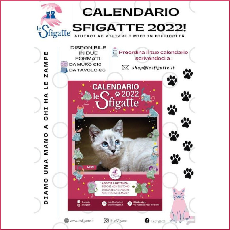 Il calendario Sfigatte 2022 sta per arrivare! - Associazione Le Sfigatte