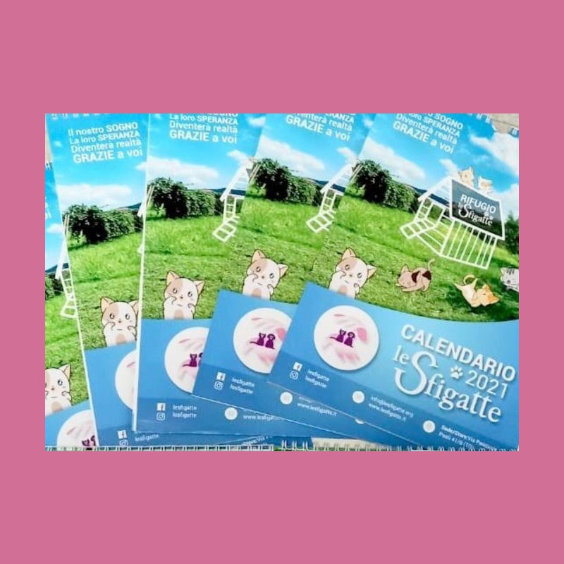 Agende e Calendari in offerta allo Store! - Associazione Le Sfigatte