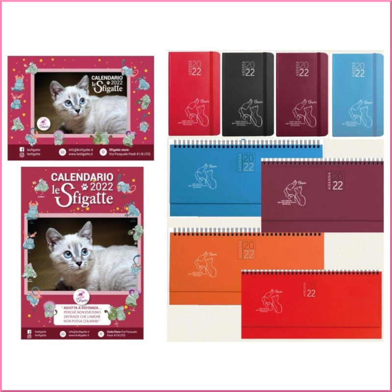 La forza inversamente proporzionale dell'amore: operazione azzera debiti con calendari, planning e agende! - Associazione Le Sfigatte