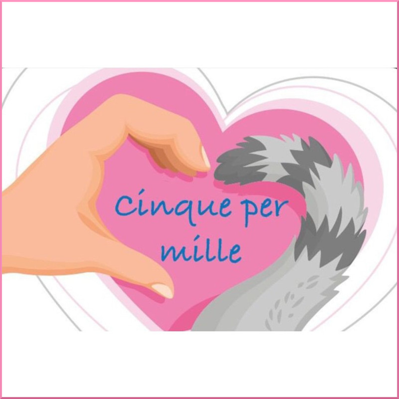 Rendicontazione 5x1000 per gli anni 2017-18 e 2018-19 - Associazione Le Sfigatte