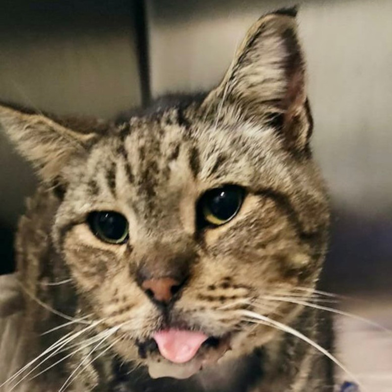 Quanto contano gli ultimi istanti? - Associazione Le Sfigatte