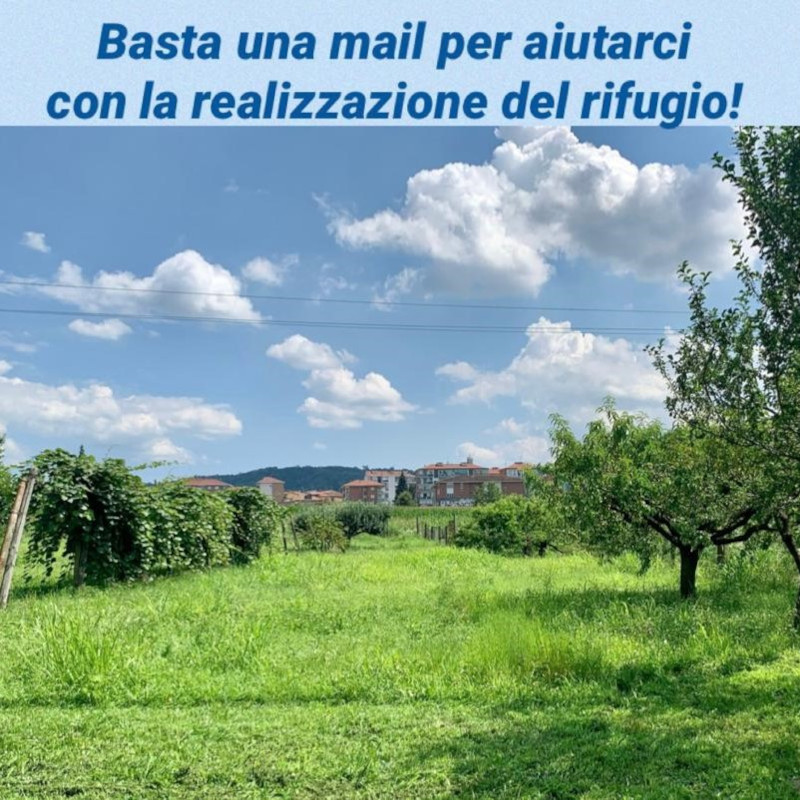 Vota per Le Sfigatte! C'è tempo fino al 30 gennaio! - Associazione Le Sfigatte