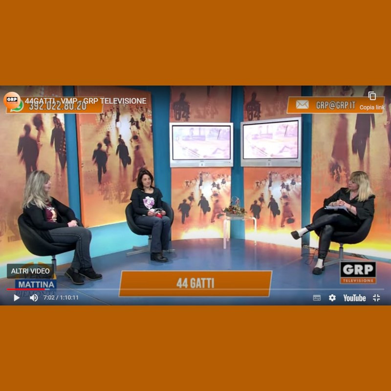 Le Sfigatte in TV! - Associazione Le Sfigatte