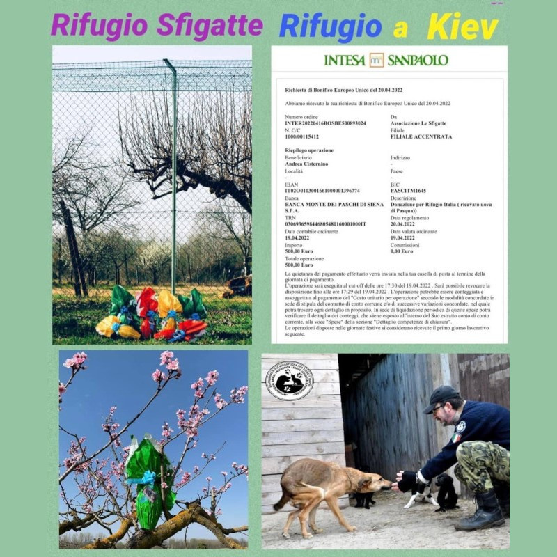 La sorpresa più grande! - Associazione Le Sfigatte