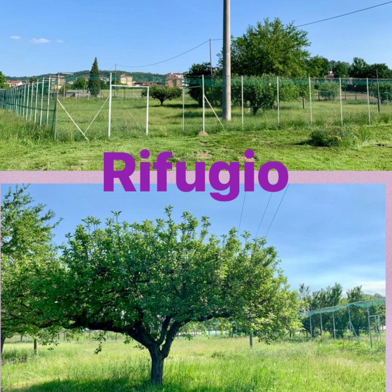 News Rifugio: se si sogna da soli è solo un sogno, se si sogna tutti insieme diventa realtà che comincia - Associazione Le Sfigatte