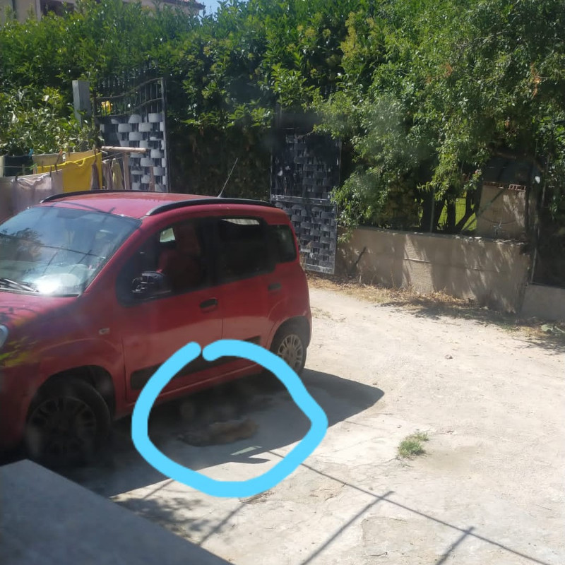 Se il mondo si volta dall'altra parte, noi guardiamoci negli occhi: sarebbe morta di parto per strada - Associazione Le Sfigatte