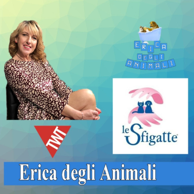 Oggi siamo state ospiti da "Erica degli Animali" con la puntata "L'estate dei gatti" - Associazione Le Sfigatte