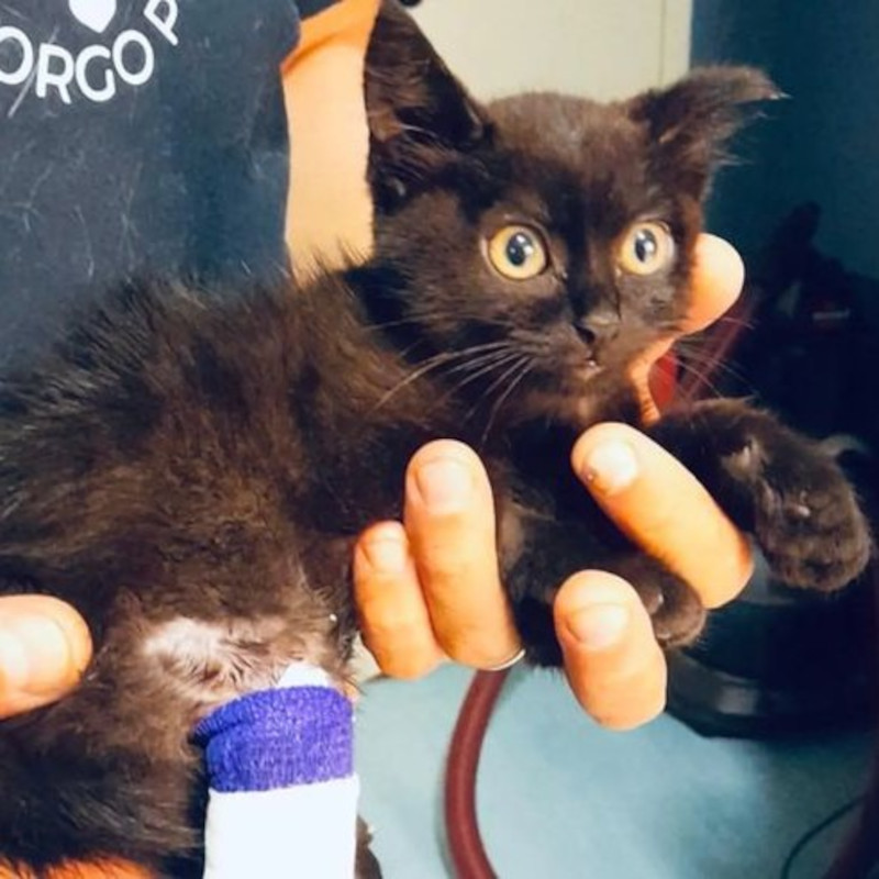 La nostra, la loro possibilità siete Voi. Sfigatte è.. - Associazione Le Sfigatte