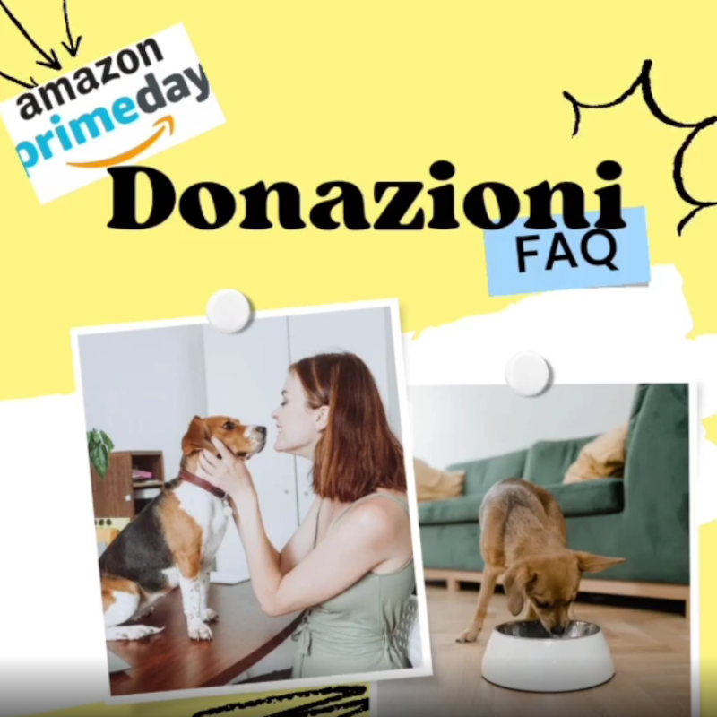 Le Sfigatte hanno allungato le loro zampe sullo shopping online! Nel Prime Day ormai imminente non ti dimenticare di noi (e passaparola)! - Associazione Le Sfigatte