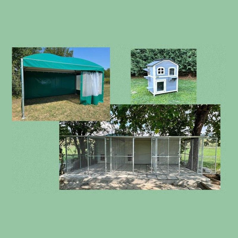 Help Rifugio Sfigatte. Abbiamo bisogno di voi per poter ospitare i primi mici - Associazione Le Sfigatte