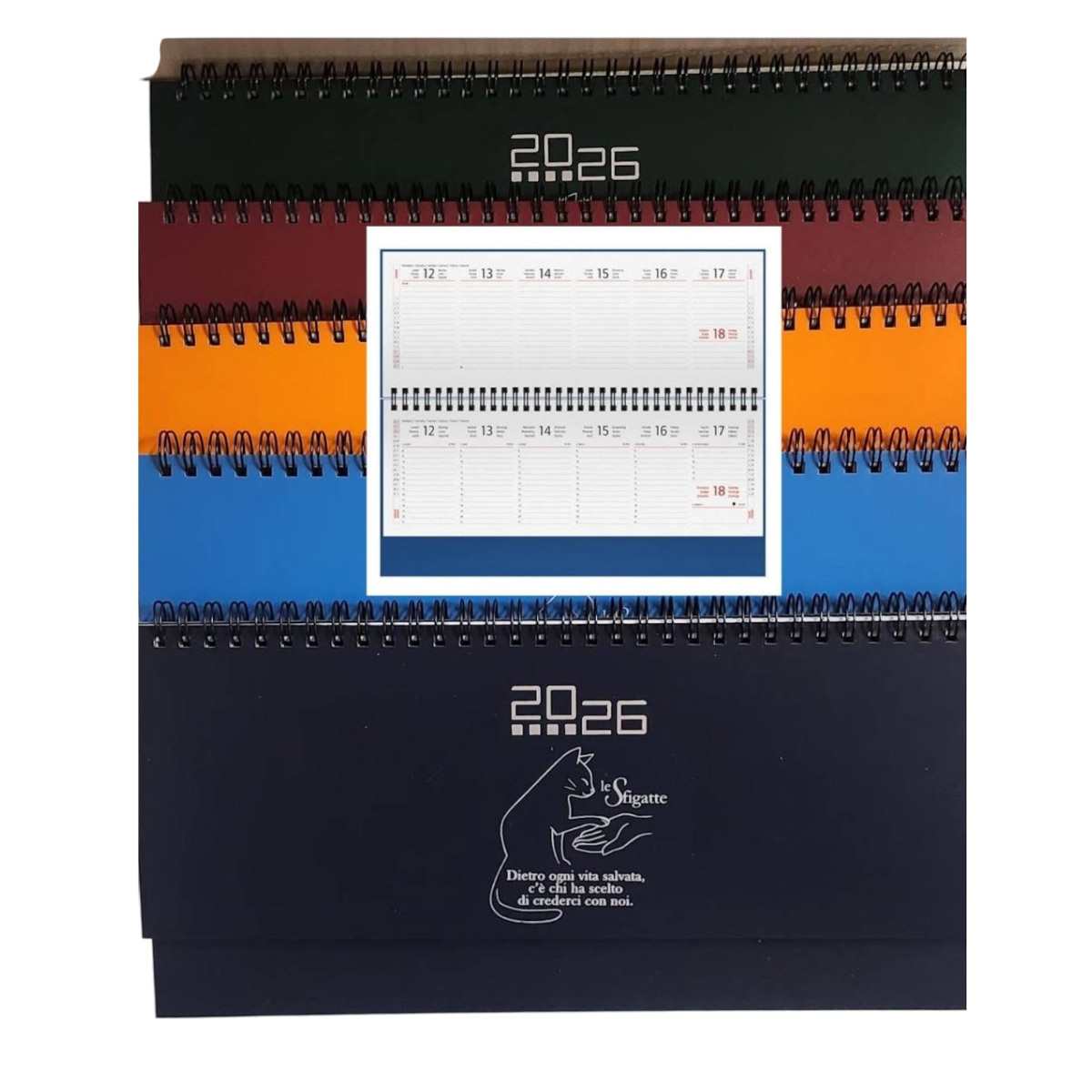 Planning - Associazione Le Sfigatte