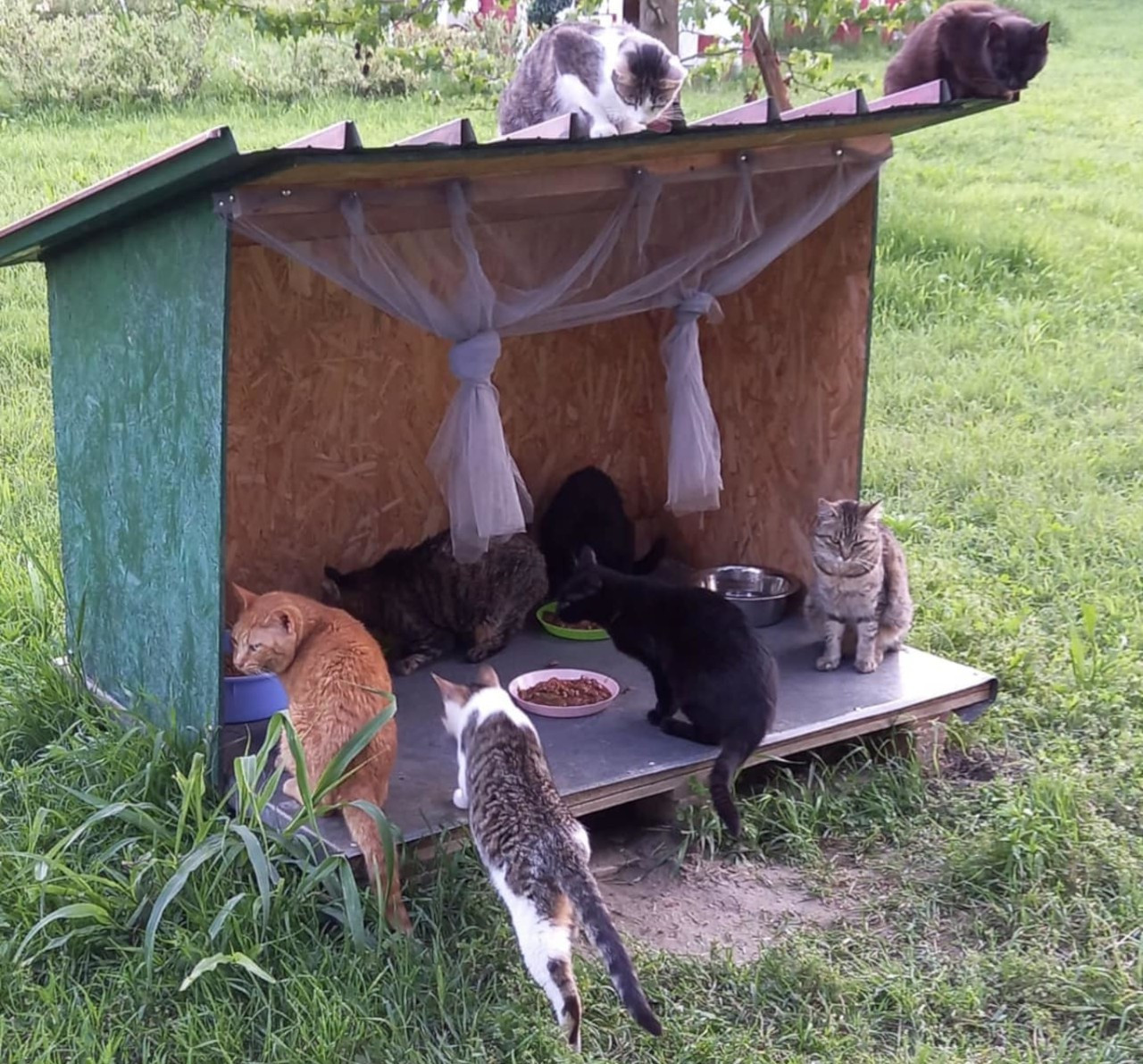 dona ora a Le Sfigatte