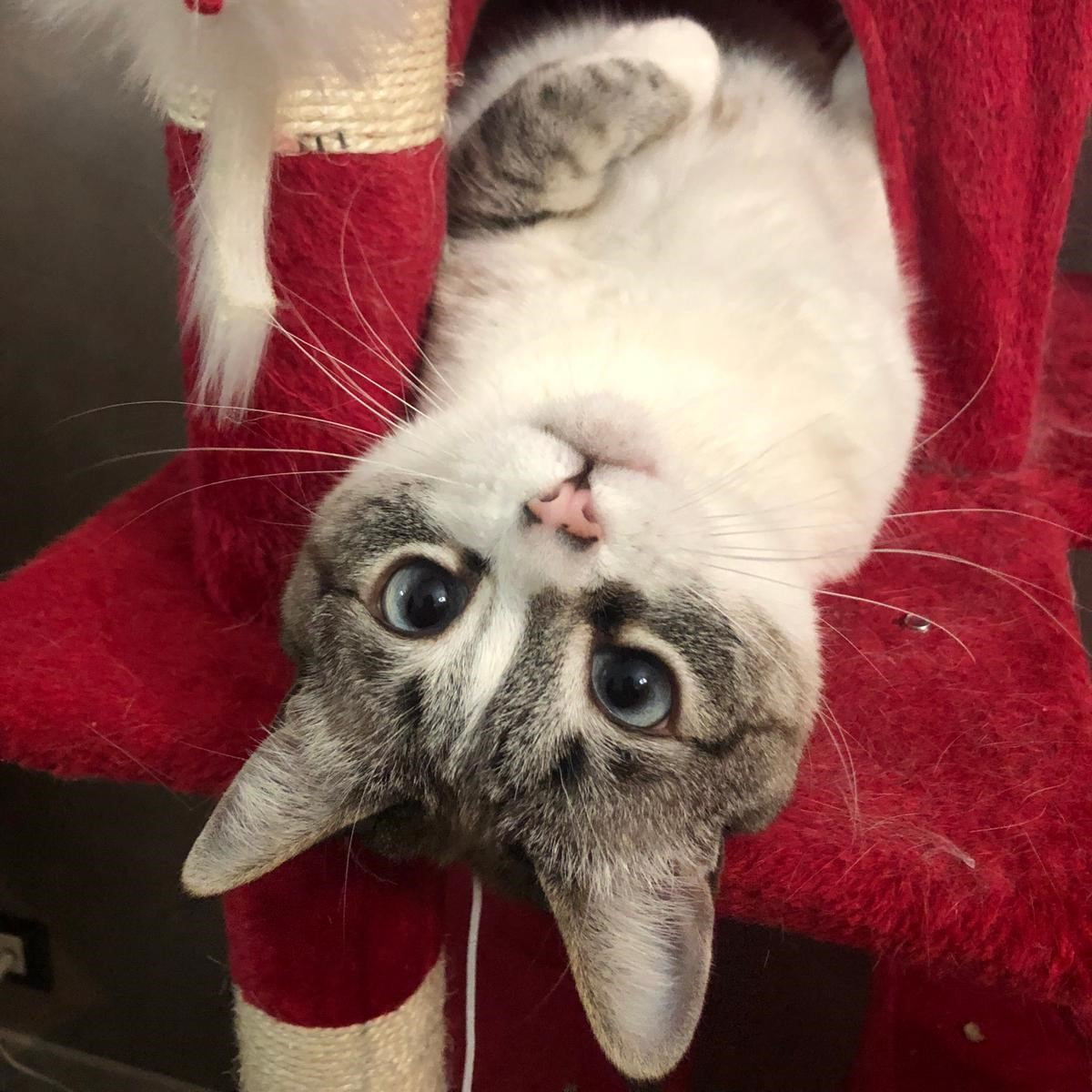 dona ora a Le Sfigatte