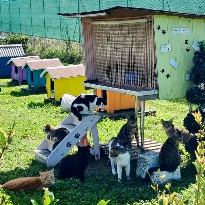 scopri le inziative in programma organizzate da Le Sfigatte