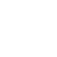 scopri le inziative in programma di Le Sfigatte